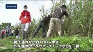 葛飾区　荒川の生態系を守ろう！