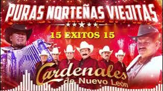 Relámpagos, Rieleros, Tigres, Cardenales, Invasores, Ramón Ayala & Intocable🤠PURAS NORTEÑAS VIEJITAS