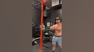 Pallof Press with band + side plank push-ups #fitness #abexercise #abworkout #workout