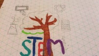 STEM animation