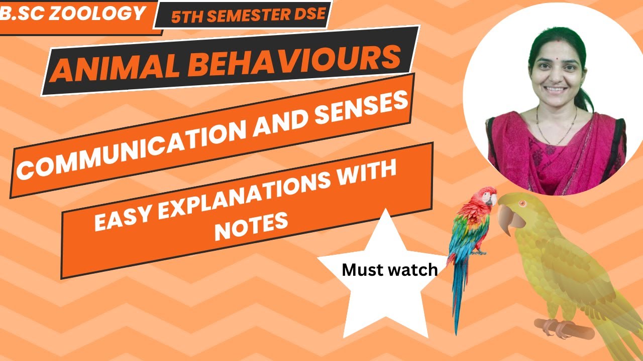 Communication and senses B. Sc Zoology 5th semester|| Animal Behaviour ...