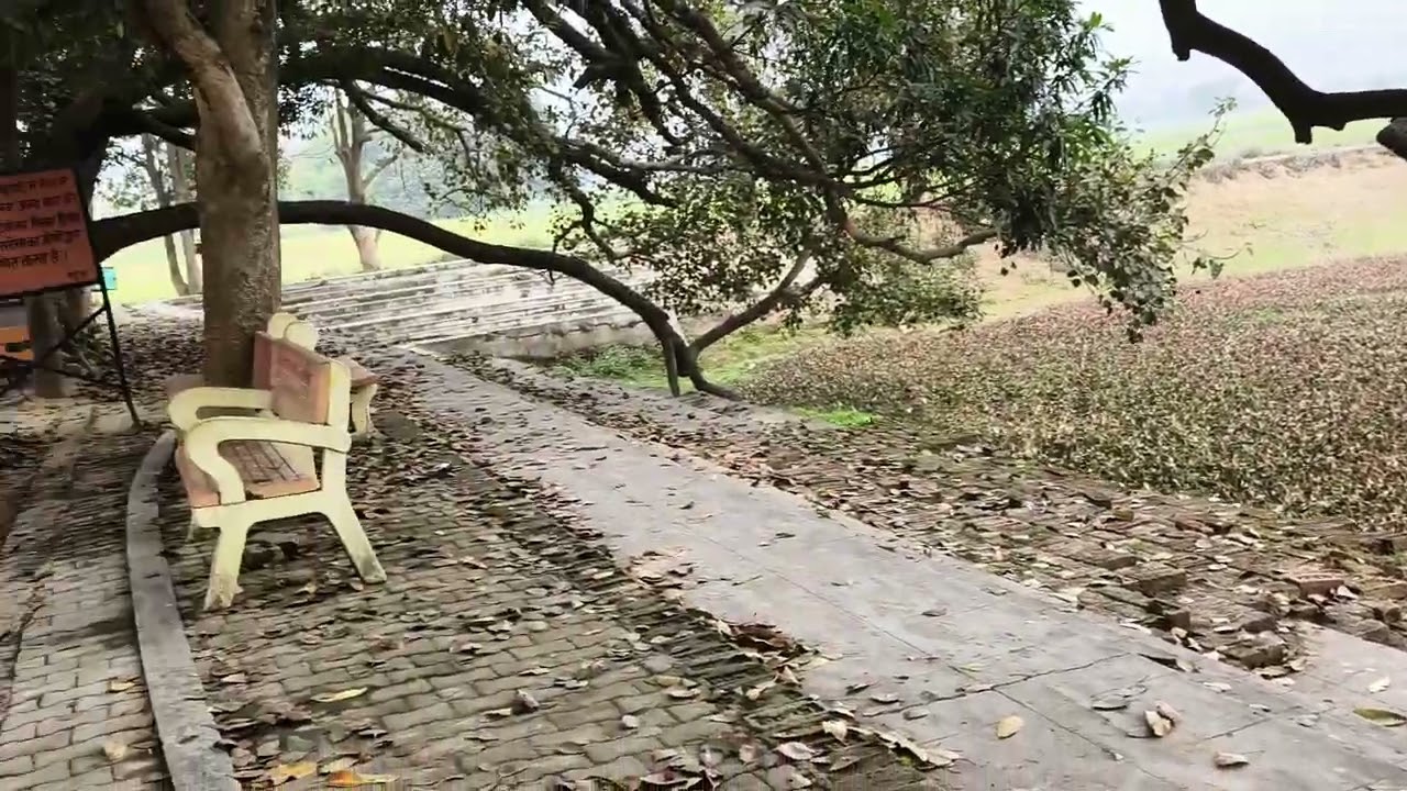 यक्ष पांडव संवाद यहीं हुआ था