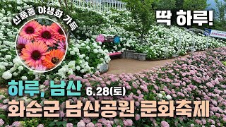 하루, 남산 문화축제 개봉박두! 6월 28일 딱 하루에 열리는 수국과 문화축제에 초대합니다