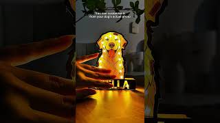 Dog Face Stained Glass Style | Personalized Photo LED Night Lamp screenshot 3