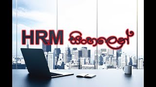HRM සිංහලෙන් (HRM Sinhalen) screenshot 3