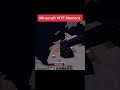 What【Minecraft】