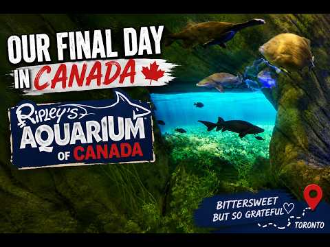 🐠 Ripley’s Aquarium of Canada | Perfect Final Day in Toronto #CanadaTravel #Toronto #RipleysAquarium