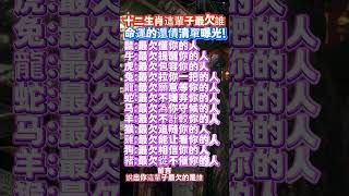 十二生肖這輩子最欠誰？命運的還債清單曝光！ #生肖 #十二属相#命理