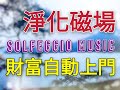 Solfeggio music.淨化磁場讓金錢與機會自己找上門.感情順利 婚姻美滿 財富顯化.釋放壓力財富冥想.願望實現.Happiness 獲得財富.改變負面磁場.正面能量.潛意識力量  Hz