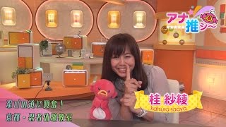 【アナ推シ～】桂アナ「衣装も道具も本格！京都・忍者体験屋敷」