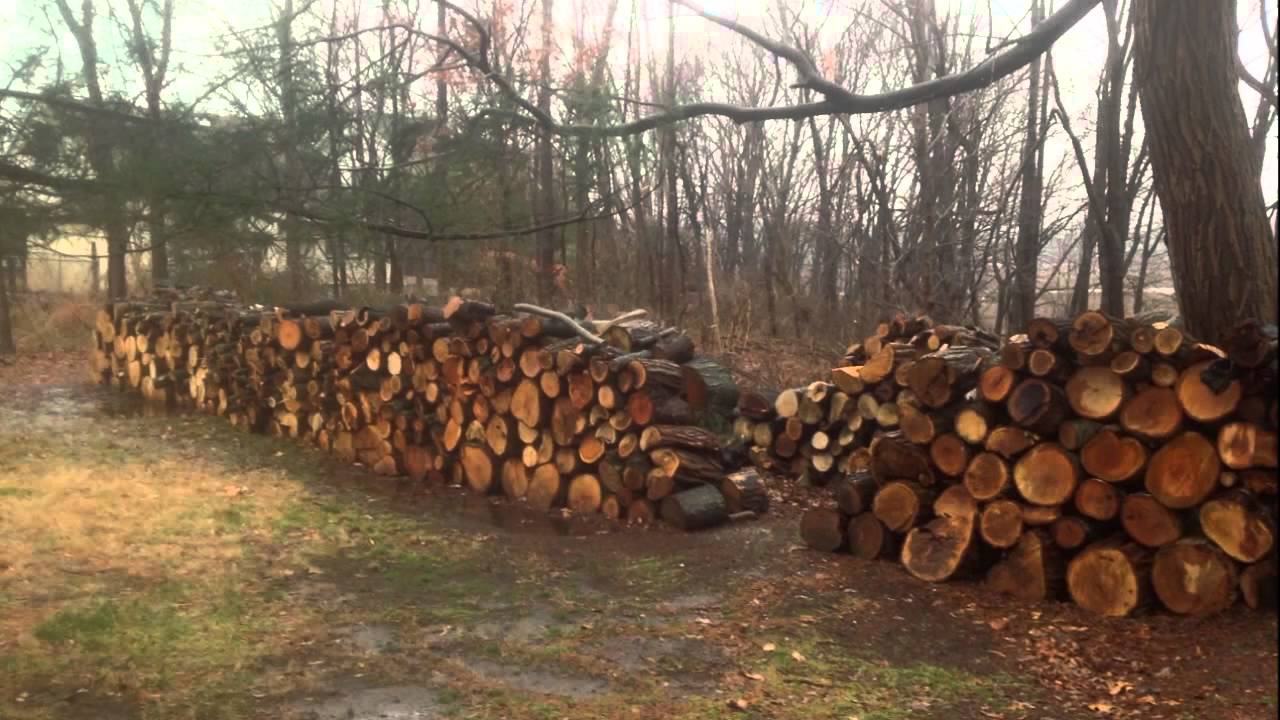 Firewood Aberdeen Sale Firewood Aberdeen YouTube