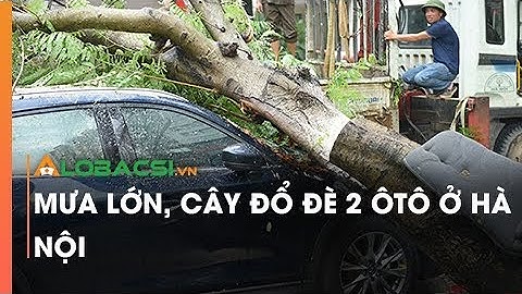 Mưa lớn, cây đổ đè 2 ôtô ở Hà Nội