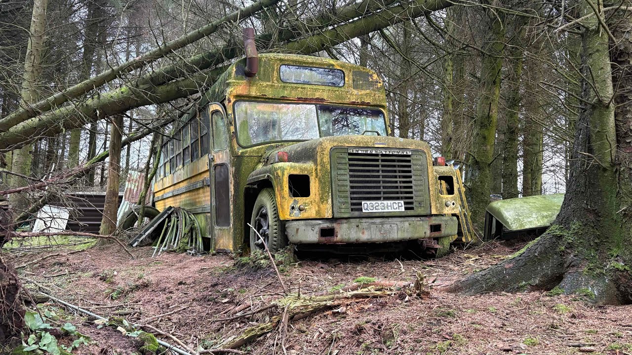 В лесу мы нашли старый американский школьный автобус и несколько старых грузовиков.
