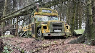 We found a old American school bus and some old trucks in the woods 