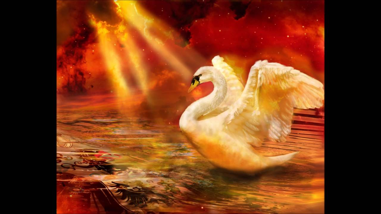 Ana Mendez Ferrell - Authority from Heavens