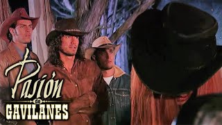 Pasion De Gavilanes - Policia Encontro A Mujer Que Ataco A Juan Y Las Elizondo