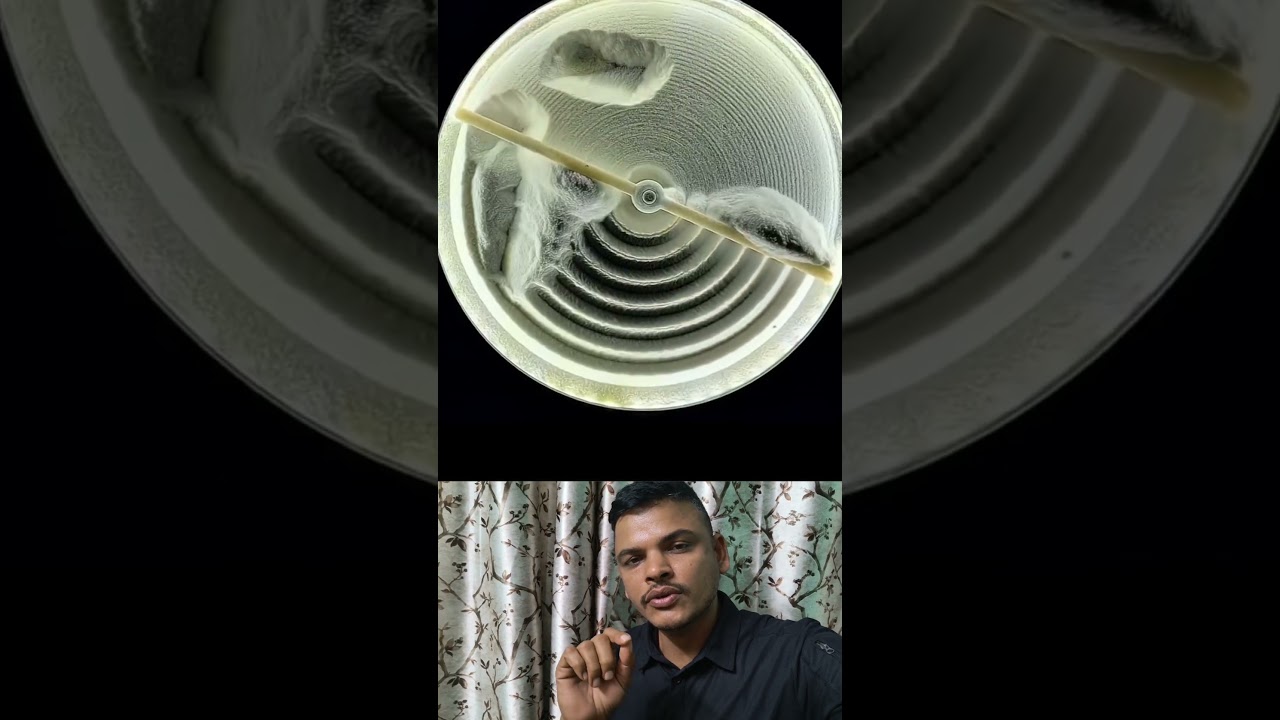 Discipline Is KEY To Achieving Anything In Life! 