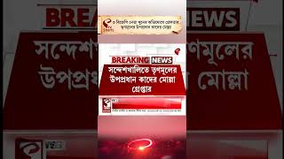 BJP | TMC | ৩ বিজেপি নেতা খু/নের অভিযোগে গ্রেফতার তৃণমূলের উপপ্রধান কাদের মোল্লা