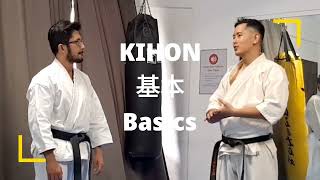 Basic (kihon) Punches in Different Karate Styles | Practical Karate