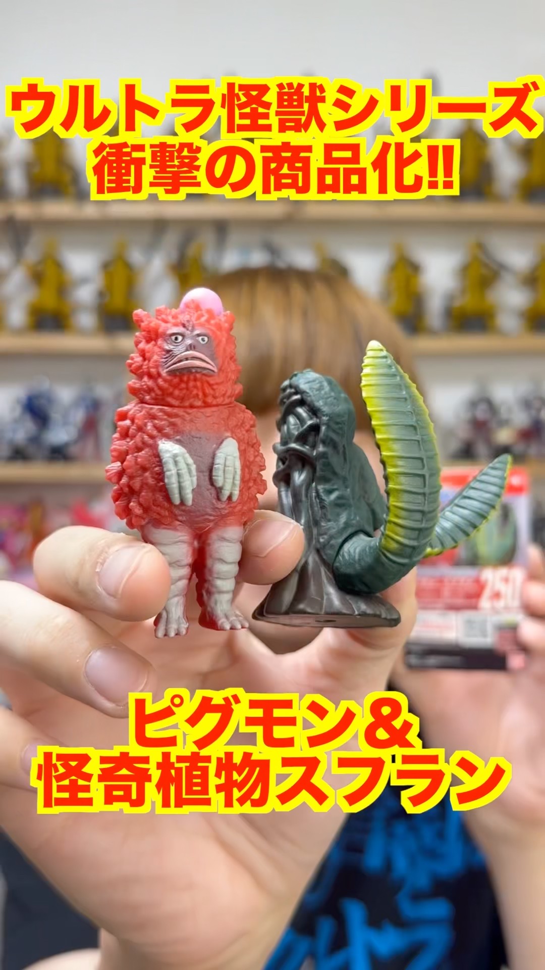 Shocking Soft Vinyl Figures] Ultra Monster Series Pigmon & Suflan