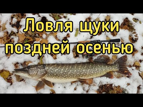 Эта приманка просто косит щуку! Ловля щуки на спиннинг поздней осенью. ROLANS TRAVEL 704ML 213 4-14