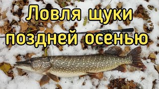 Эта приманка просто косит щуку! Ловля щуки на спиннинг поздней осенью. ROLANS TRAVEL 704ML 213 4-14