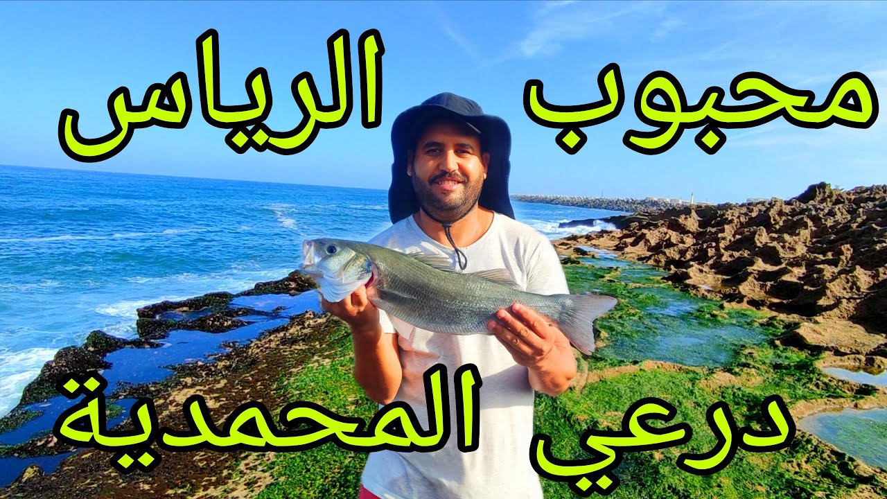Vlog #189 رحلة صيد السمك و جمع اجود انواع فواكه البحر بمصيد لافاليز المحمدية 