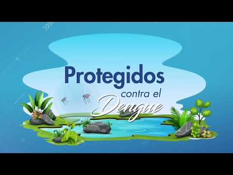 Dengue y como prevenirlo