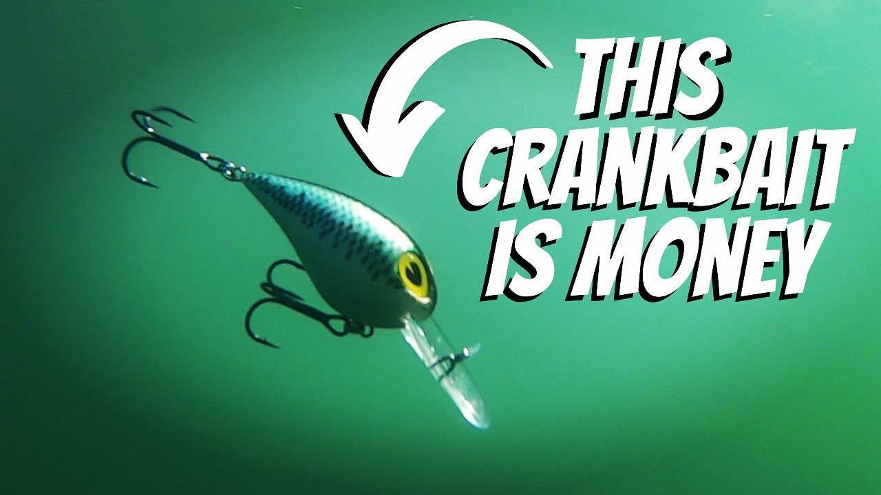 This discontinued CRANKBAIT is money (feat. Cotton Cordell Wiggle