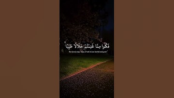 سورة الأنفال الآيات  { ٦٧ - ٦٩ } #المصحف #quran #اكسبلور #duet #islamicfestival #دويتو #الرحمن #isla