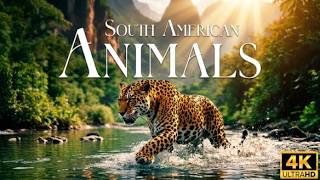 Relaxing Animals 4K 🐿️ Nervous System Reset &amp; Deep Focus Film