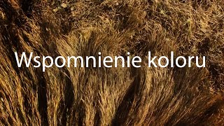 Wspomnienie koloru  | Go Türkiye