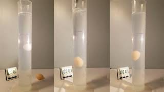 Viktor Schauberger Egg 10 Times