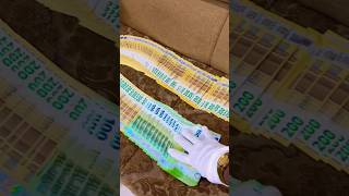Great Money Packing Euro Cash