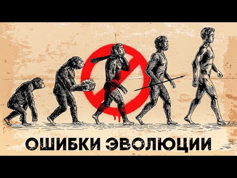 Неудобные вопросы к Теории Эволюции.