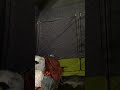 Customer reviews Core 9 Person Instant Cabin Tent 14' x 9', Green 40008 3