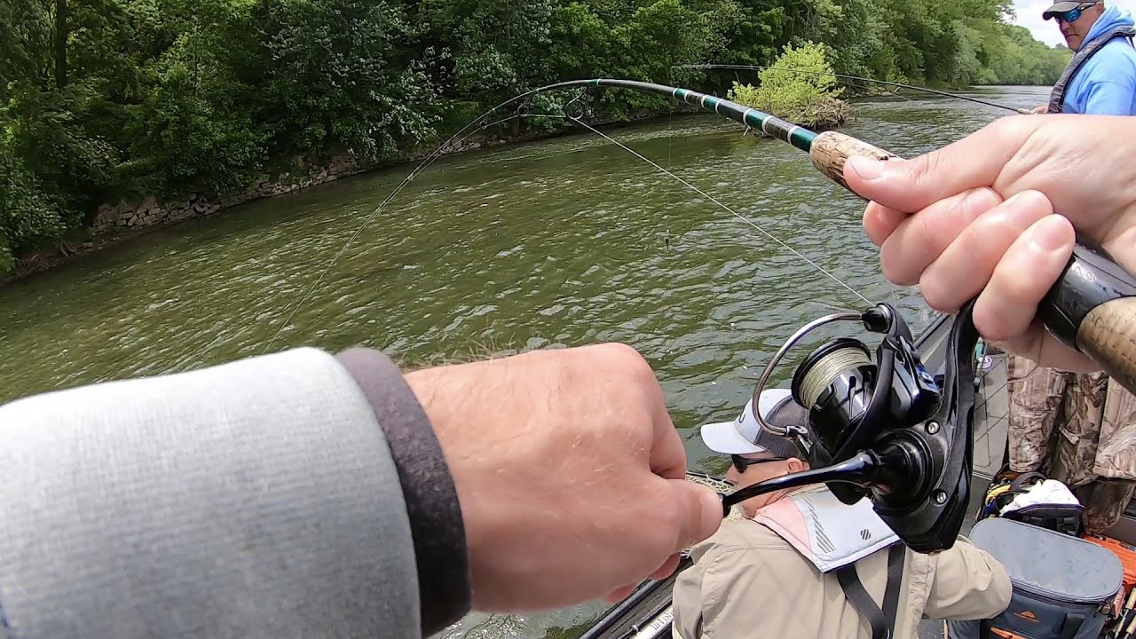 Fishing the Potomac River for BIG Smallmouth Bass