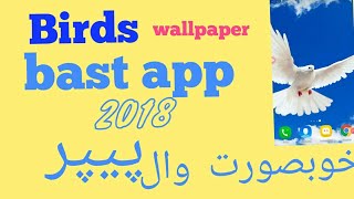 Birds wallpapers bast app 2018 screenshot 1