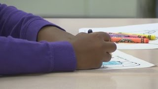 Open enrollment brings unique programs to Pitt Co elementary schools
