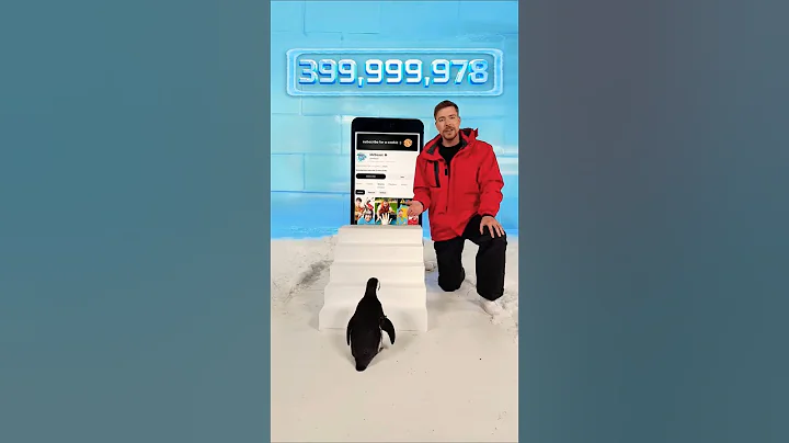 Can I Teach a Penguin To Subscribe ? #shorts #viral #penguin #subscribe