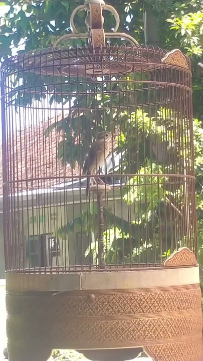 apung tanah gacor isian