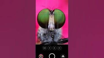 Adcom 15x macro from 5 in 1 mobile phone camera lens kit | #shorts #shotwithadcom