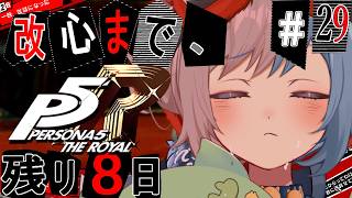 木天蓼のこな