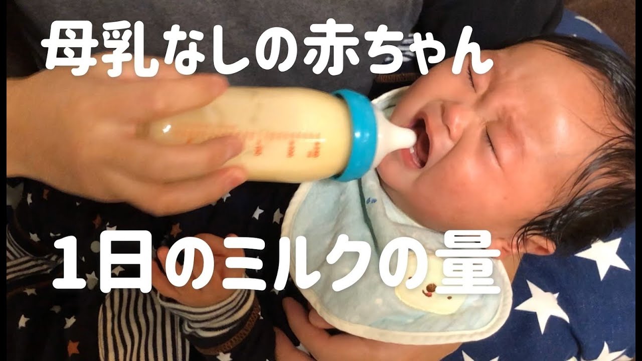 生後8ヶ月の赤ちゃん ポッくんの1日のミルクの量は 8 Month Old Baby Daily Milk Volume Youtube