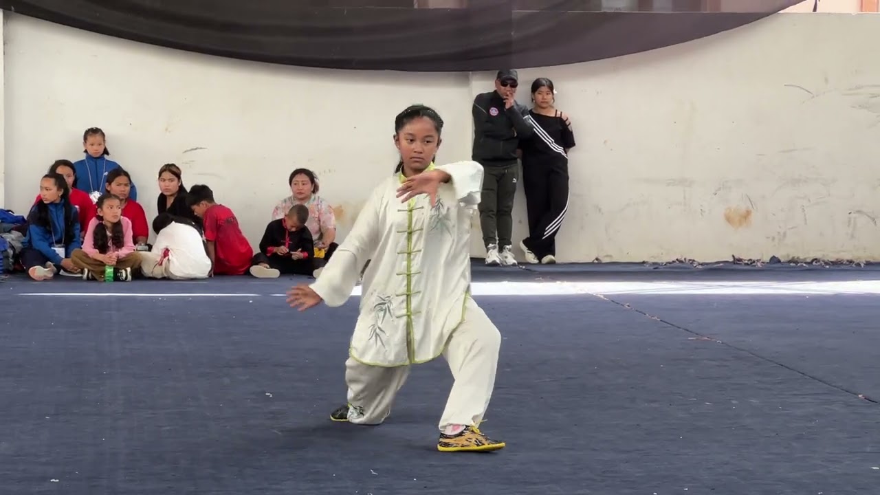 Wushu nepal taichi