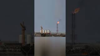 You Wont Believe This 🤯