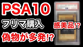 PSA10 正規品 2点ご依頼品 PSA鑑定