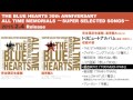 [試聴] 銀杏BOYZ 「TOO MUCH PAIN」 (THE BLUE HEARTS トリビュート収録)