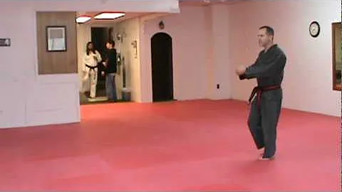 Master Barry McCoy  Demonstrates Ba Sa Hee Hyung /...