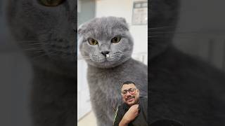 Bi Kan Alabilir Miyiz